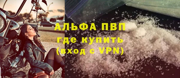 стаф Новокубанск