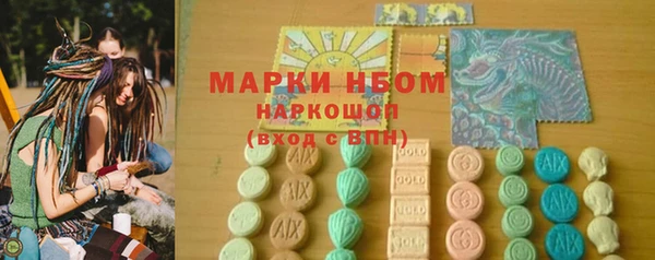 стаф Новокубанск