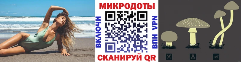 Галлюциногенные грибы ЛСД  Зея 